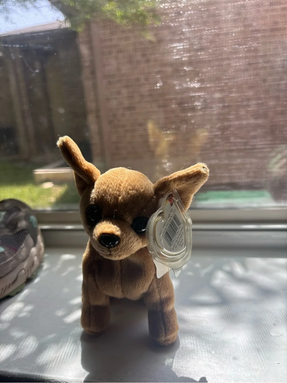 TY Beanie Baby Multicolor Chameleon Plush and TINY Chihuahua